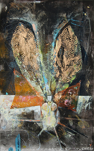 Kaisermantel , Argynnis paphia