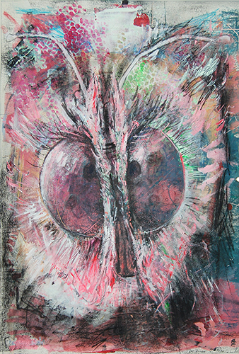 Mittlerer Weinschw�rmer, Deilephila elpenor, Augen