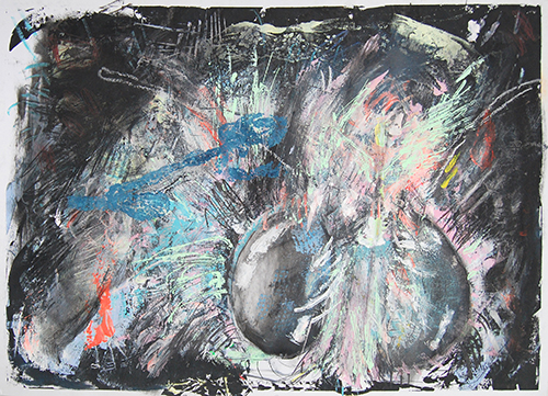 Augen der venezolanische Pudelmotte