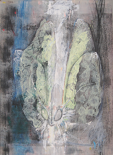 Venezolanische Pudelmotte