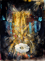 Schmetterling mit Bluete