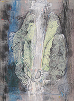 Venezolanische Pudelmotte  